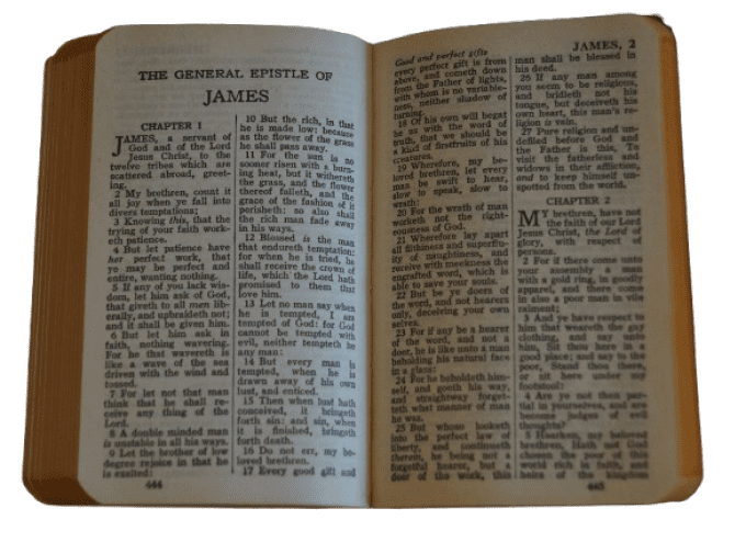 NOUVEAU TESTAMENT SGT MURVELL LEWIS 34TH INF DIV KIA ITALIE