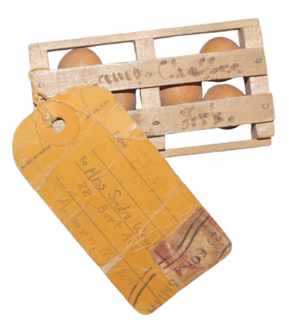SOUVENIR HUMORISTIQUE ORANGE BOX CAMP CHAFFEE