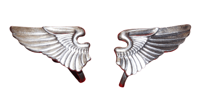 BOUCLES D'OREILLES USAAF STERLING WINGS