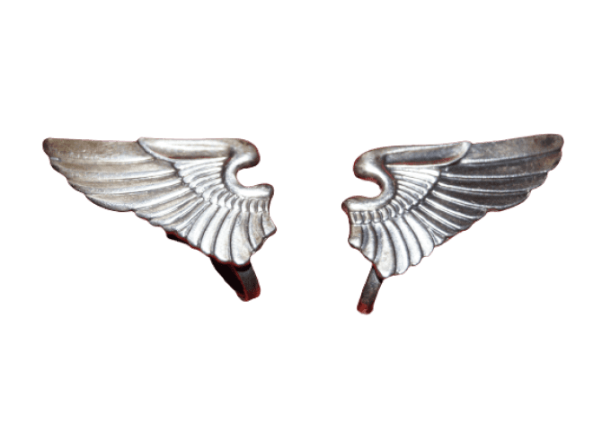 BOUCLES D'OREILLES USAAF STERLING WINGS