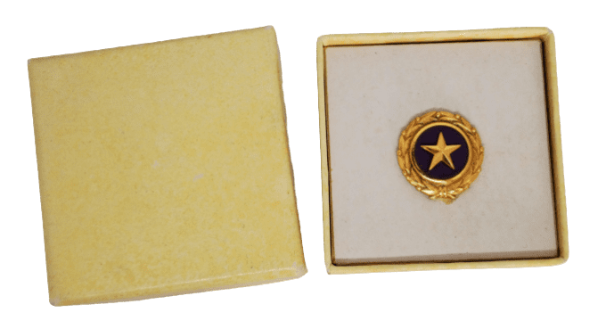 EPINGLE GOLD STAR BUTTON