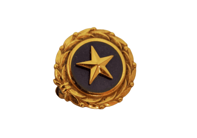 EPINGLE GOLD STAR BUTTON