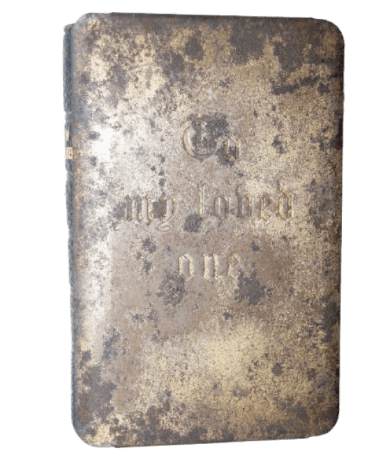 NOUVEAU TESTAMENT COUVERTURE METAL PARE ECLATS