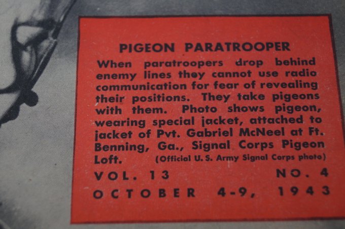 MAGAZINE JUNIOR 1943 PARA 82ND AIRBORNE